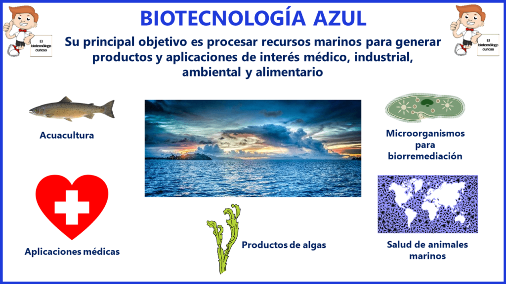 Biotecnología marina
