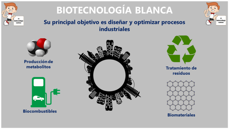 Biotecnolog A Azul Mundo Marino Ejemplos Y Aplicaciones