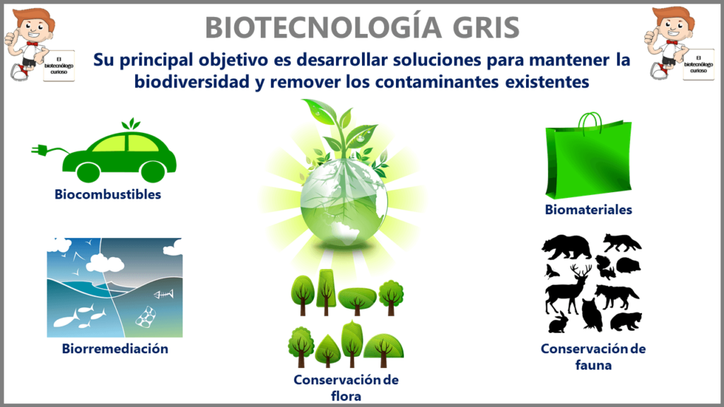 ▷ Biotecnología gris | Ejemplos y aplicaciones ambientales