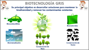 Biotecnología ambiental