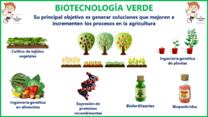 Biotecnología agricola