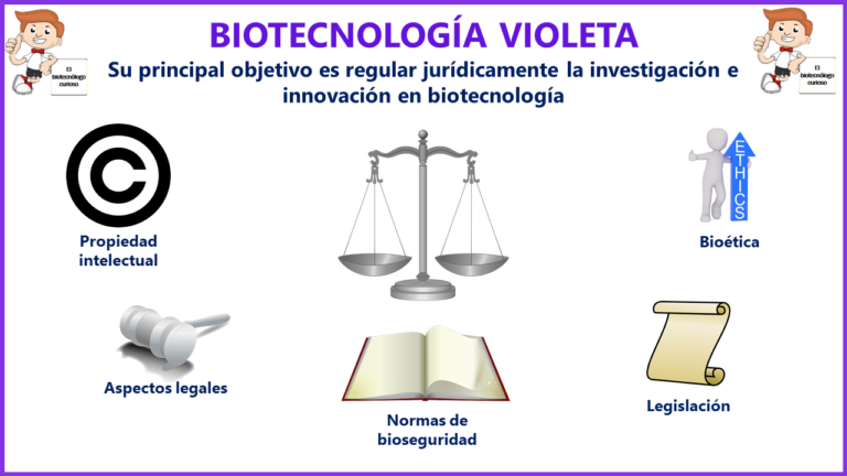 Definición Clasificación E Historia De La Biotecnología