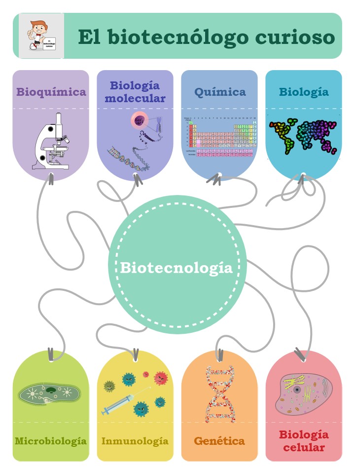Clasificacion De La Biotecnologia